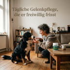 Bellofit Gelenk Snack