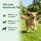 Bellofit Gelenk Snack